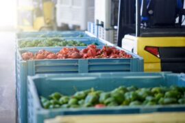 veggies in bins